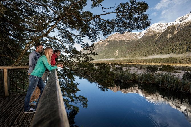 Milford Sound Coach and Cruise From Queenstown With Buffet Lunch - Traveler Feedback Highlights