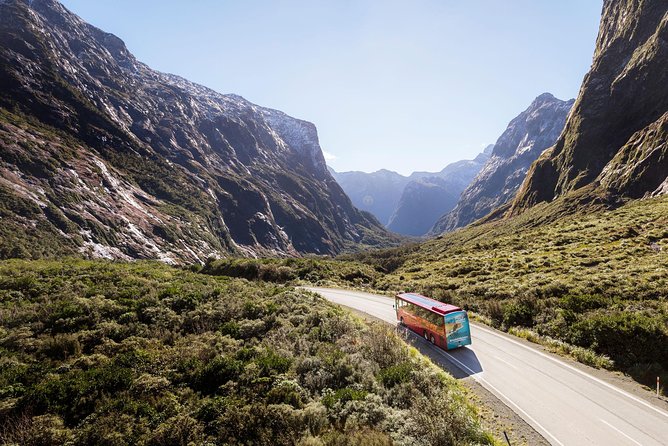 Milford Sound Coach and Cruise From Te Anau With Buffet Lunch - Accessibility Features