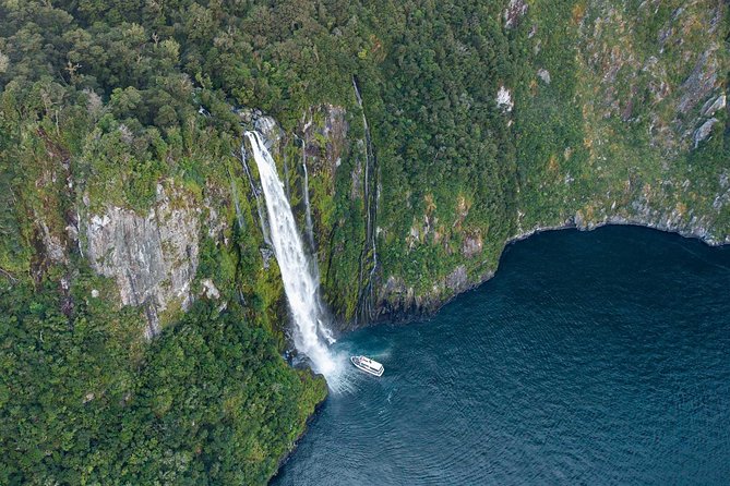 Milford Sound Cruise Including Underwater Observatory - Wildlife and Scenery to Discover