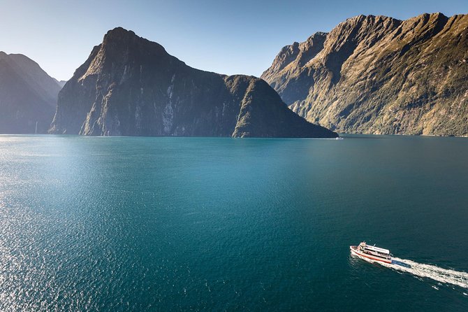 Milford Sound Scenic Flight and Nature Cruise - Traveler Reviews and Feedback