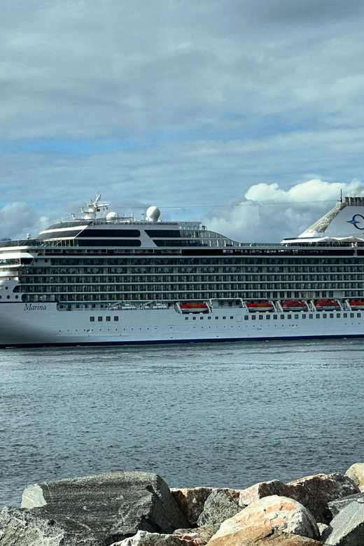 Molde: Atlantic Coast Highway and Bud Village Tour - Customer Experience and Feedback