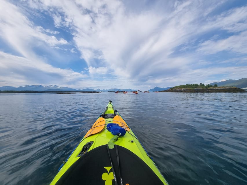 Molde - Guided Kayak Tour - Local Wildlife and Scenery