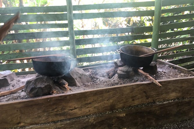 Monkeyland & Plantation Safari Full Day From Juan Dolio - Reviews and Feedback