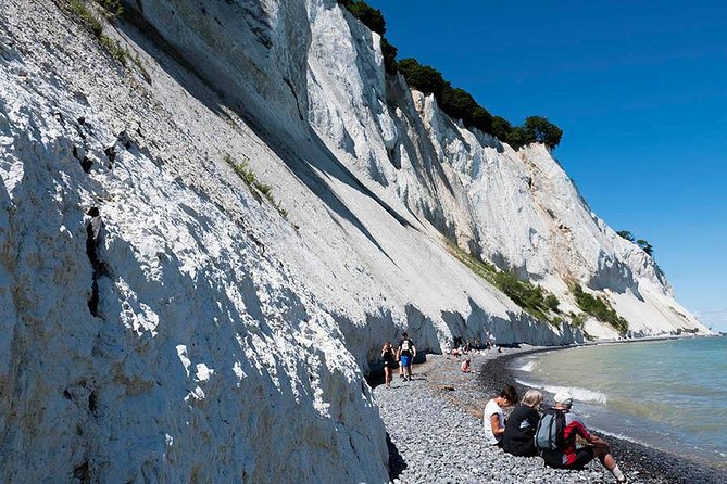 Møns Klint and the Forest Tower - a Day Tour From Copenhagen - Recommended Fitness Level