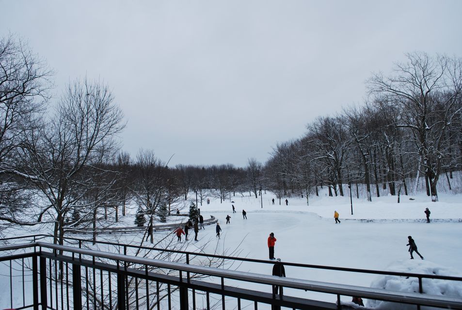 Montreal: Full-Day Small Group City Tour - Old Montreal Break