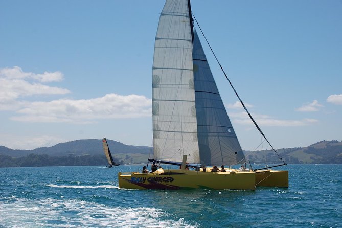 Morning Glory Chilled Out Sail (3.5hrs) - Guest Feedback Highlights
