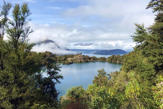 Mou Waho Island Cruise and Guided Nature Walk - Accessibility and Health Requirements