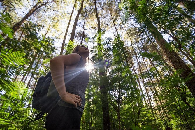 Mount Batur Sunrise Trekking - Exploring the Coffee Plantation