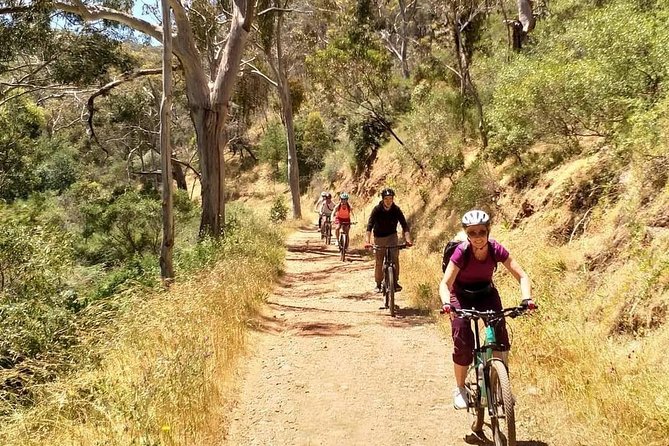 Mount Lofty Descent Bike Tour From Adelaide - Reviews and Feedback