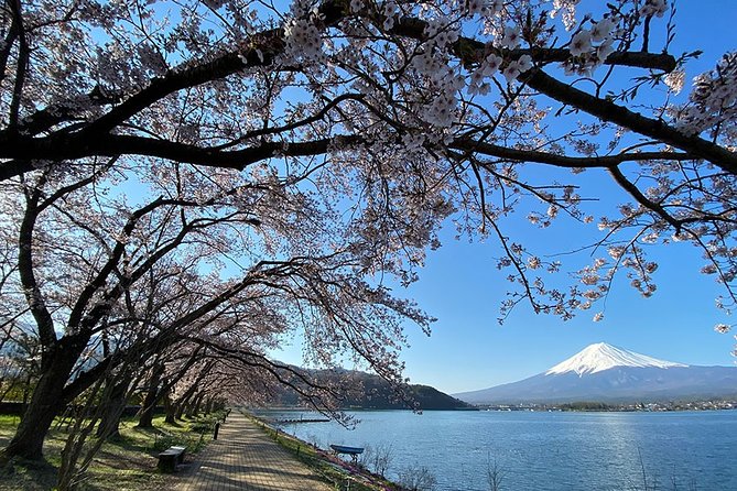 Mt Fuji Lakeshores Full-Day Bike Tour - Customer Reviews