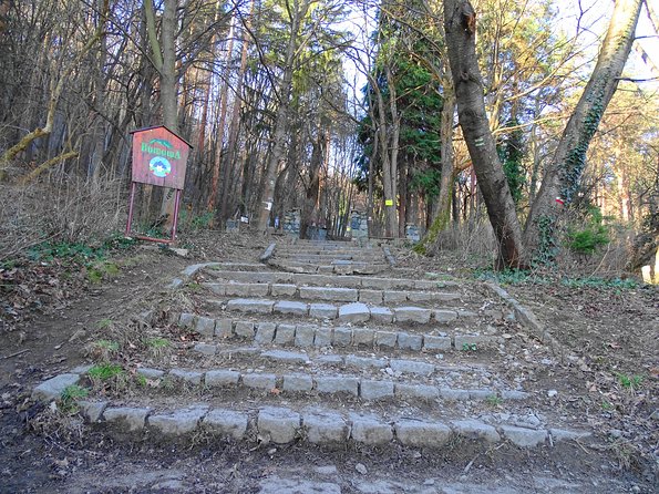 Mt. Vitosha and Boyana Waterfall Hiking Tour From Sofia - Guides and Their Expertise
