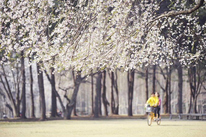 Nami Island & Mount Seorak Day Trip From Seoul - Location and Public Transit