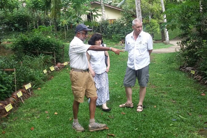 Nandana Tea Walking Tour in Sri Lanka - Customer Reviews