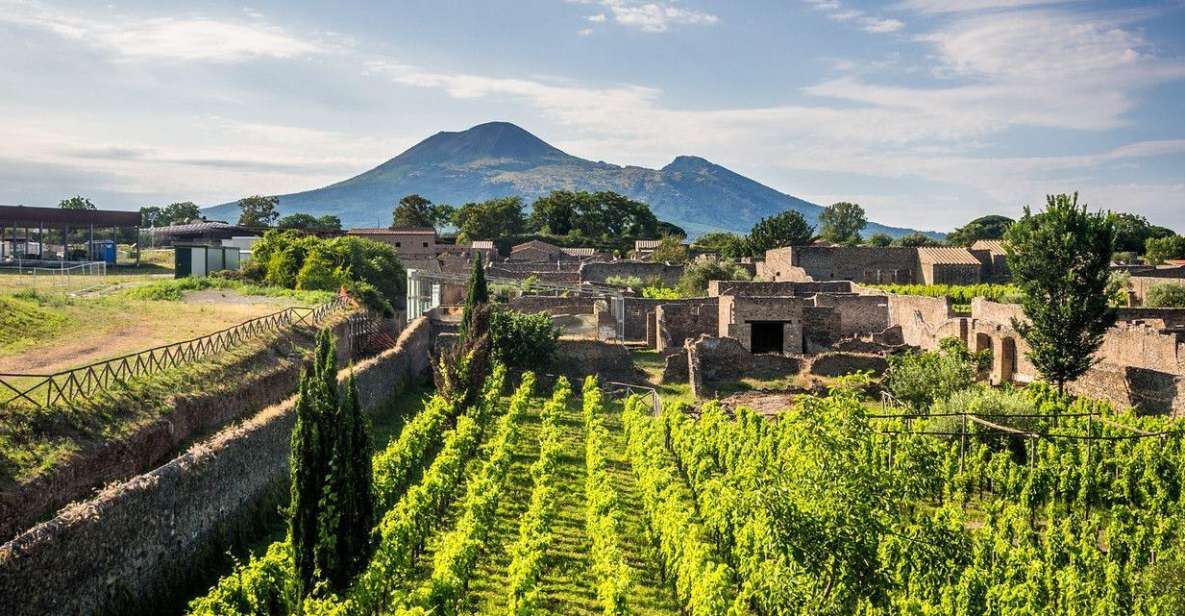 Naples: Vesuvius, Pompeii, and Vineyards Tour - Official Guide for Pompeii