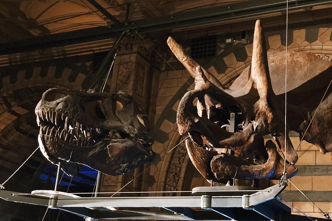 Natural History Museum London - Private Guided Museum Tour - Cancellation Policy