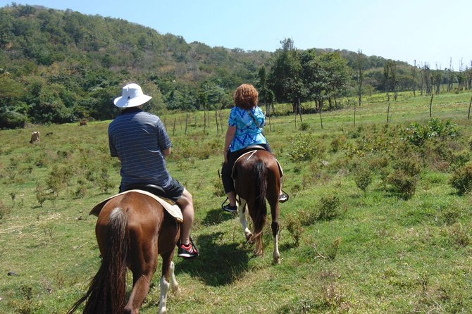 Nature & Historical Horseback Riding Tours St. Lucia - Unique Features of the Tour