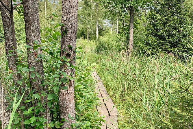 Nature Reserve Hiking Tour With Campfire Lunch - Safety and Accessibility