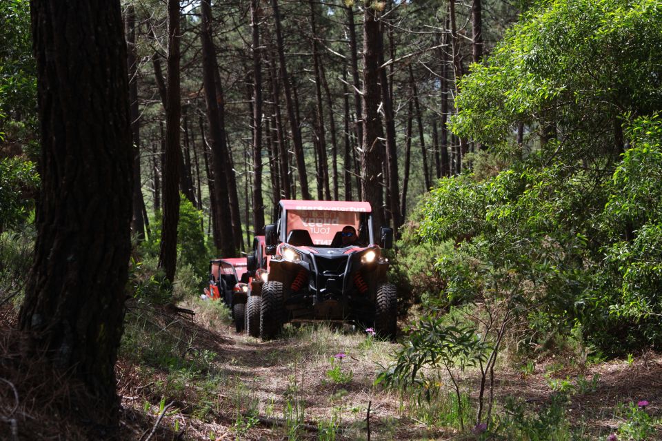 Nazaré: 4x4 Buggy Tour With Guide - Frequently Asked Questions