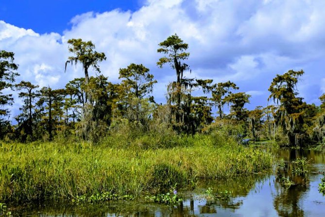 New Orleans Large Airboat Swamp Tour - What to Expect