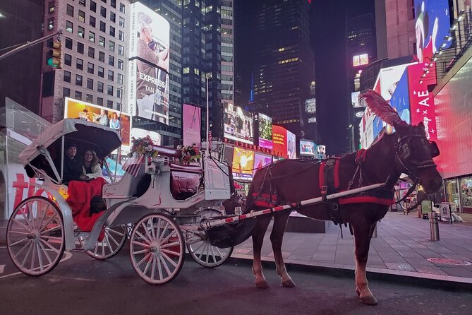 New York City Christmas Lights Private Horse Carriage Ride - Tips for a Great Ride