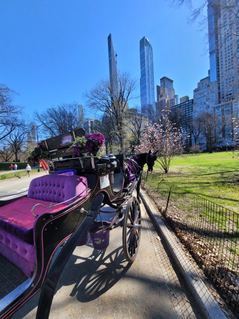 New York City: Private Horse Carriage Tour - Experiencing Central Park