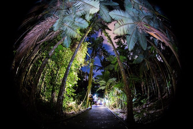 Night Walk in Cairns Botanic Gardens - Lets Go Buggin - Booking and Cancellation Policy