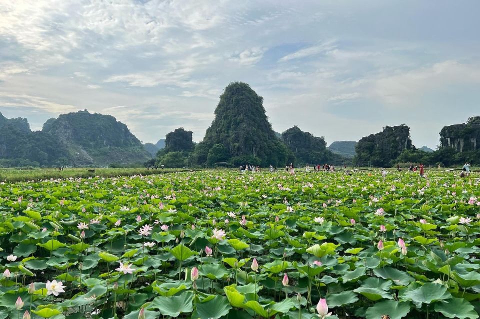 Ninh Binh Private Luxury Discovery - Exclusions