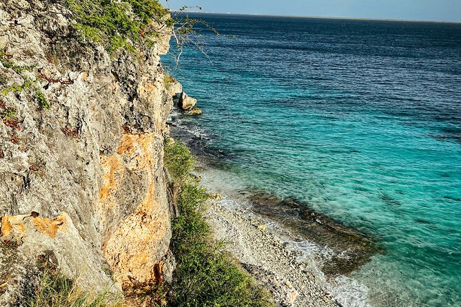 North Bonaire Private Island Tour - Customer Reviews and Feedback