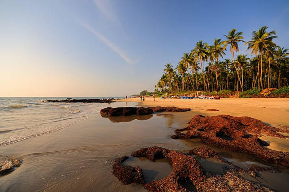 North Goa: Private Day Tour - Booking Information
