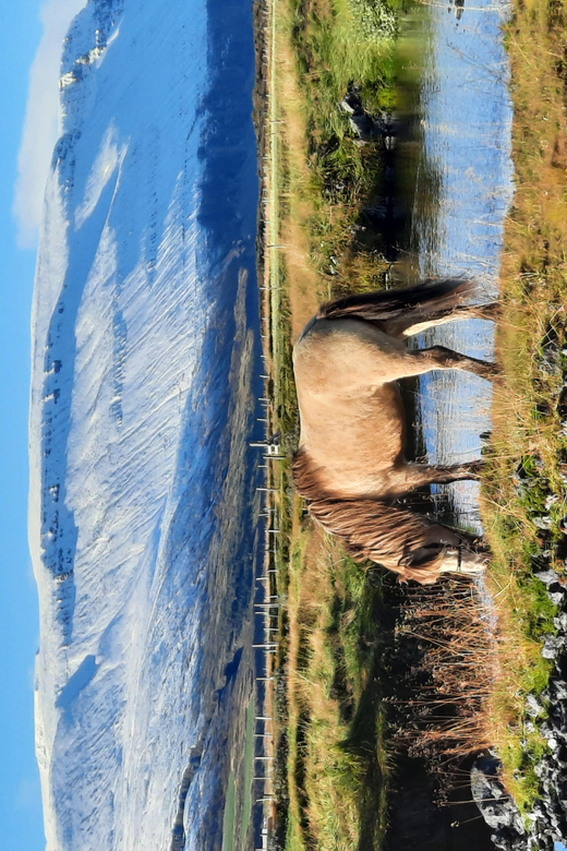 North Iceland: Horseback Riding Tour - Best Time to Go