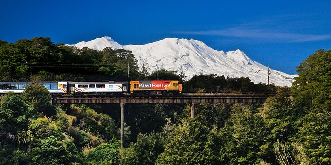 Northern Explorer Train Journey From Auckland to Wellington - Tips for a Great Journey