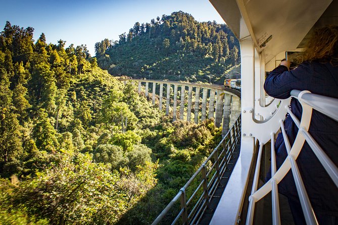 Northern Explorer Train Journey From Wellington to Auckland - Tips for Travelers