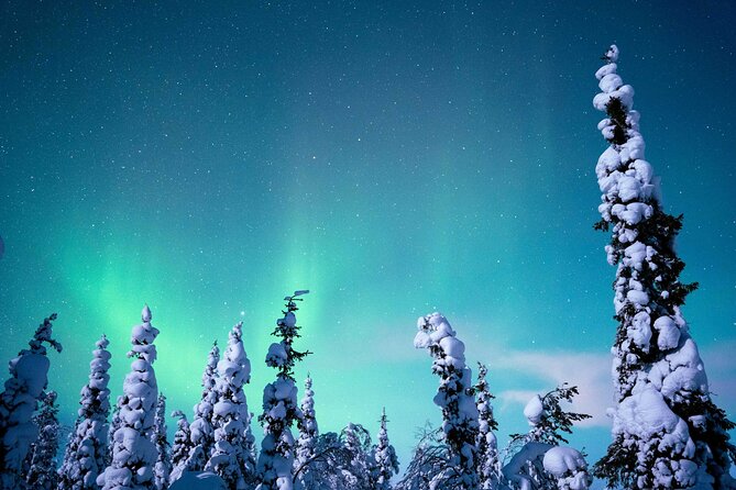 Northern Lights Hunting Photography Tour in Levi - Best Time for Northern Lights