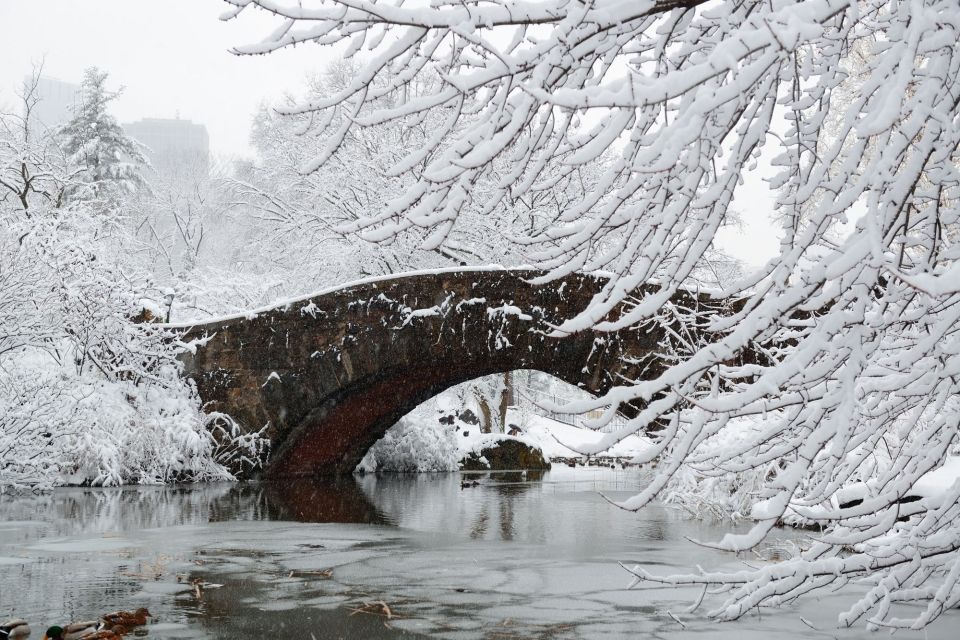 NYC: Best Of Central Park Self-Guided Scavenger Hunt & Tour - Booking and Cancellation Policy