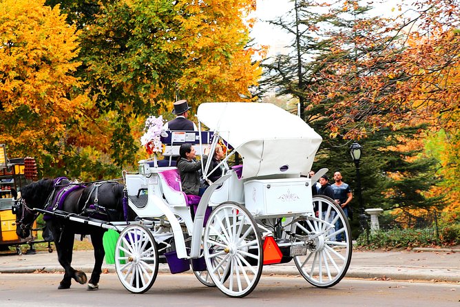 NYC Central Park Horse Carriage Ride (Up to 4 Adults) - Best Times for a Ride