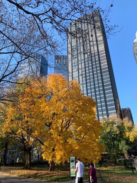 NYC Empire State Horse Carriage Rides (Central Park Tour) - Peaceful Carriage Ride