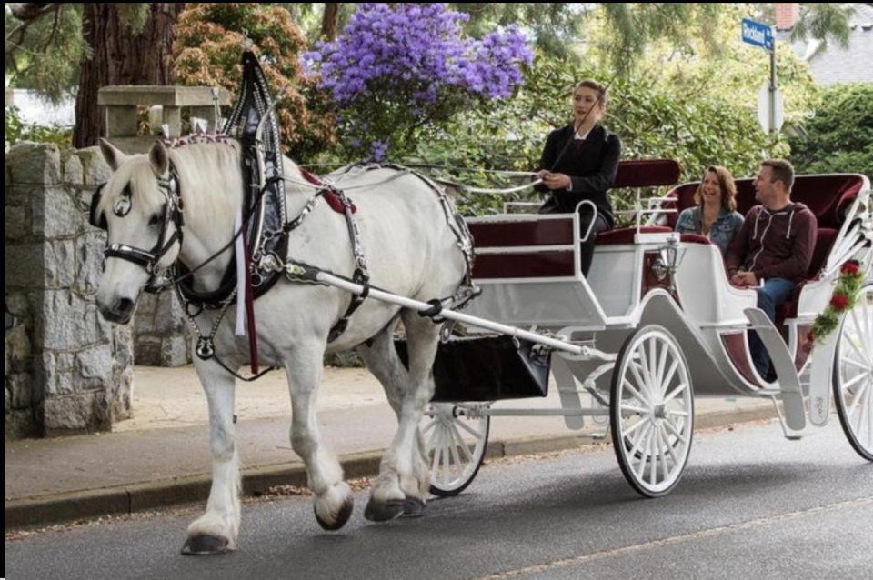 NYC: Guided Central Park Horse Carriage Ride - Frequently Asked Questions