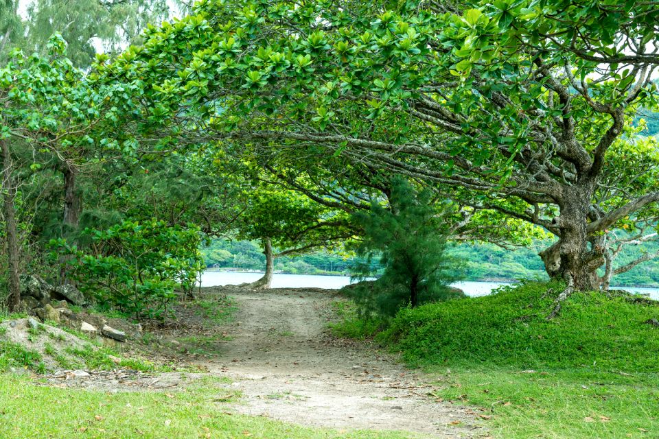 Oahu: Grand Circle Island Self-Guided Audio Driving Tour - Exploring Honolulus Culture