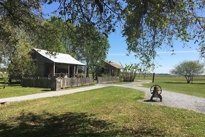 Oak Alley or Laura Plantation Tour From New Orleans - Laura Plantation Features