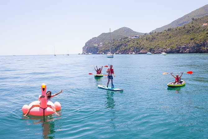 Ocean Bliss: Full Day Arrábida Private Yacht Tour From Lisbon - Wildlife Sightings