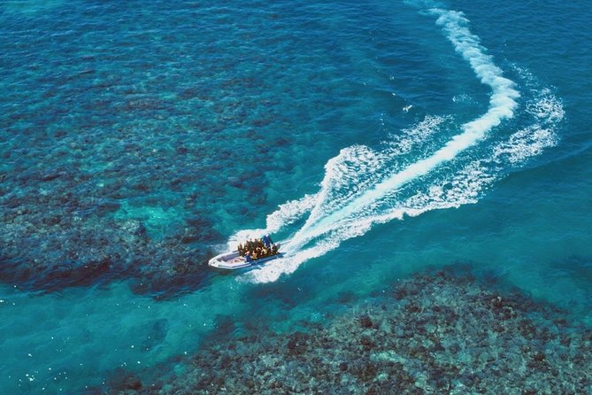 Ocean Freedom Great Barrier Reef Luxury Snorkel and Dive Cruise - Booking Information