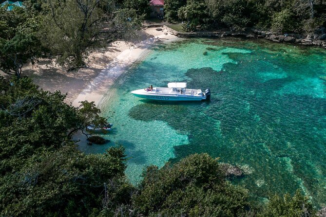 Ocho Rios All-Day Powerboat Adventure - Tips for a Great Experience