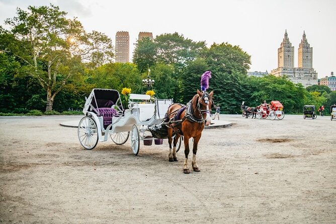 Official Private New York City Central Park Horse Carriage Ride Since 1965™ - Traveler Reviews