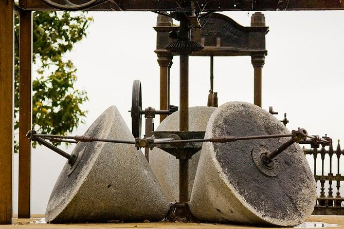 Olive Oil Farm Tour With Tasting From Seville - Traveler Feedback and Insights