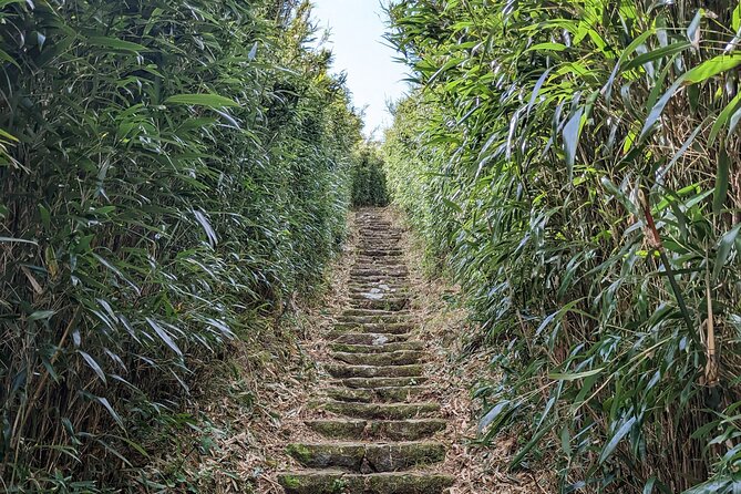 One Day Hike Around Taipeis Yangmingshan National Park - Customer Reviews and Experiences