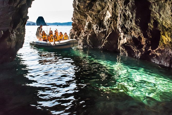 One Hour Cathedral Cove Boat Tour in Hahei - Booking Process