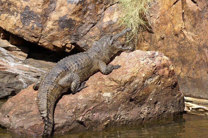 Ord River Cruise Experience With Riverside Lunch - Accessibility Considerations