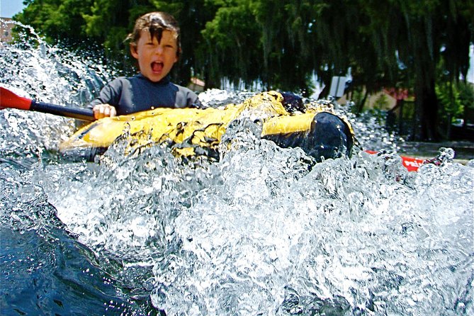 Orlando Manatee Encounters - Customer Feedback and Reviews