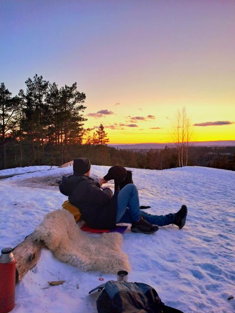 Oslo: Scenic Hike & Norwegian Waffles With a Local & Her Dog - Transportation to Kolbotn Station