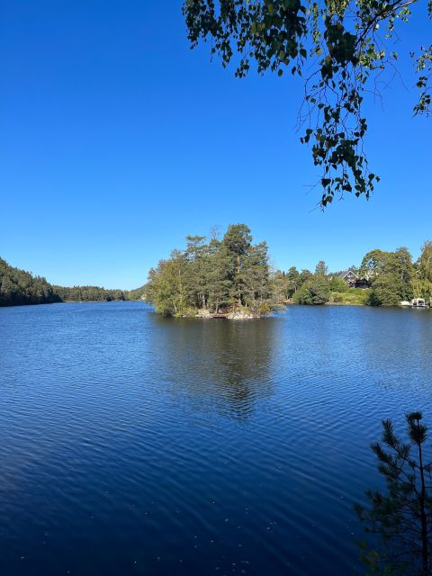Oslo: Yoga & Nature Walk With Yoga Teacher & Dog - Meeting Point Details